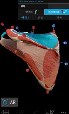 2020人体解剖学图谱app破解版