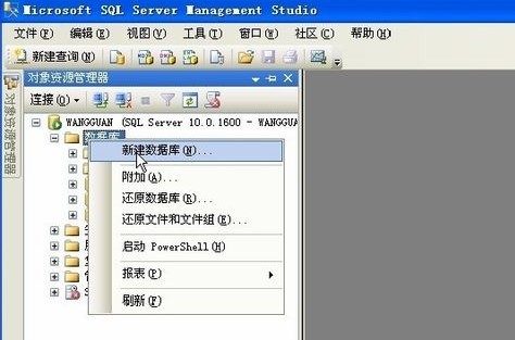 sql server 2008中文绿色版