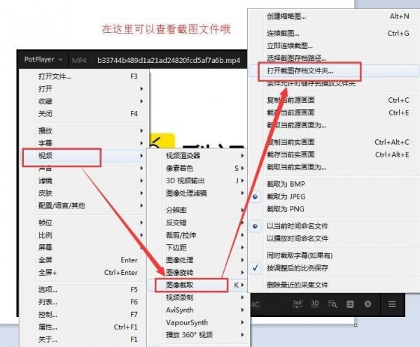 potp 多国语言免费版