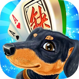 哈狗棋牌官方网站 4.3.5