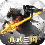 真武三国满v变态版