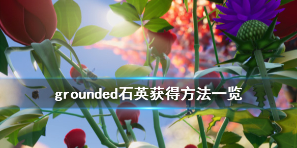 禁闭求生石英岩在哪里 grounded石英获得方法分享