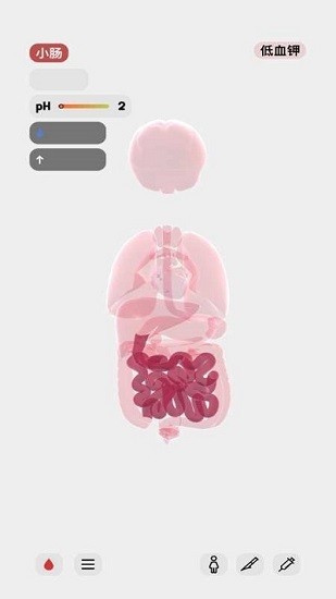 生命人体模拟器汉化下载