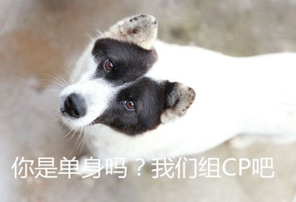 cpdd是什么意思