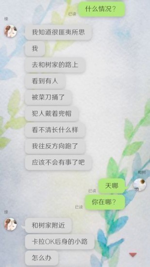 我的女友在被人追赶游戏下载