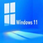 windows11正式版  11.0