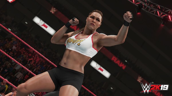 wwe2k19百度云资源分享