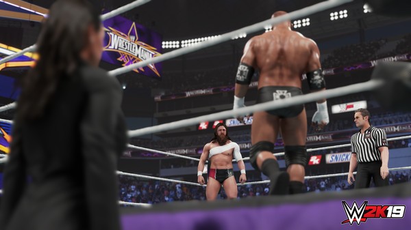 wwe2k19免安装