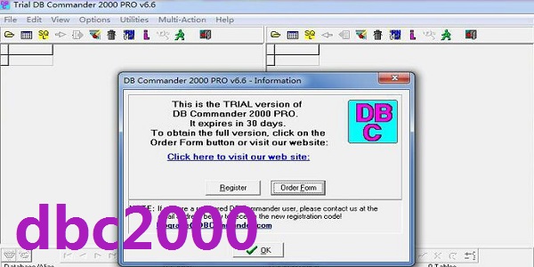 dbc2000win版