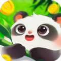 好运熊猫红包版最新版  v1.0.2