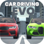 汽车驾驶EVO  v1.4