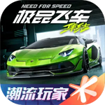 极品飞车集结