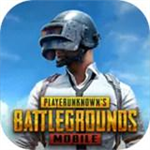 pubg美化包免费版2025