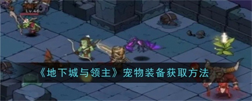 地下城与领主宠物装备怎么获取 地下城与领主宠物装备获取指南攻略
