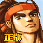 三国战纪无双版