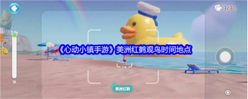 心动小镇手游美洲红鹤如何观看 美洲红鹤观看方法一览