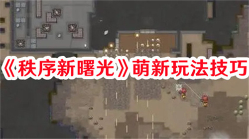 秩序新曙光萌新玩法怎么玩 秩序新曙光萌新玩法步骤大全