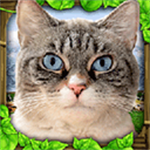 流浪猫模拟器 v1.0.4 中文版