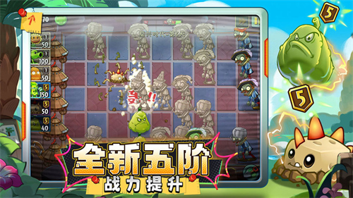 5