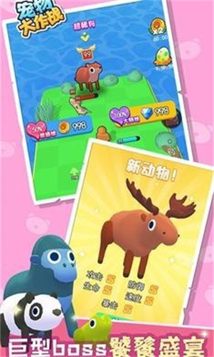 宠物大作战1