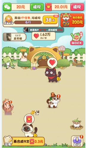 我家猫舍2
