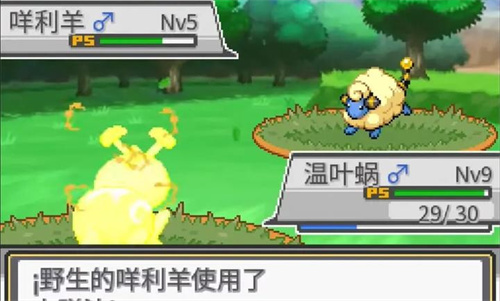 宝可梦蛋白石1