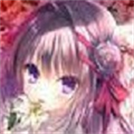 染成红色的真爱百合