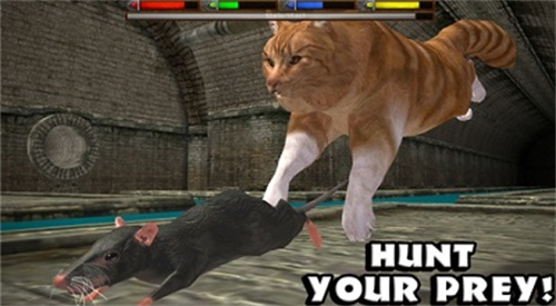 终极猫咪模拟器21