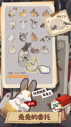 挤在一起的兔兔1