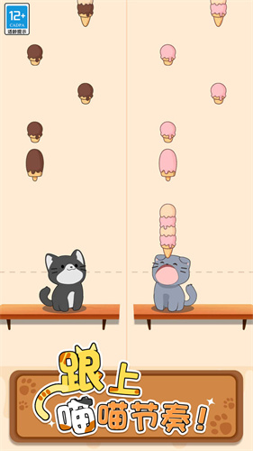 猫咪二重奏1