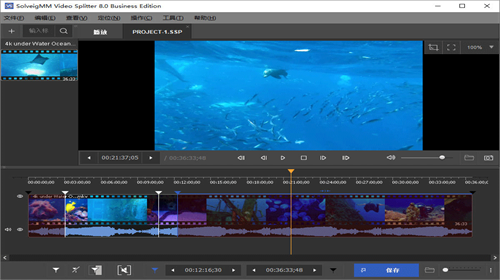 SolveigMM Video Splitter