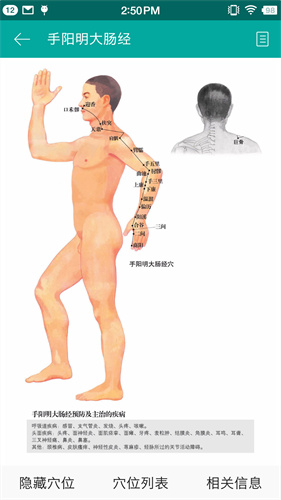 大中医app官方版1