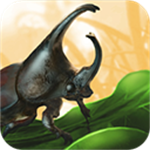 禁闭求生手机版