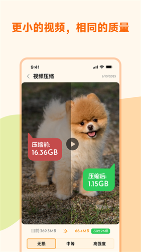 照片狗