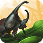 禁闭求生手机版