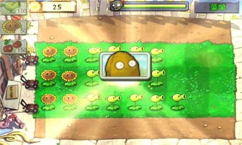 113