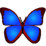 bkViewer v8.5d