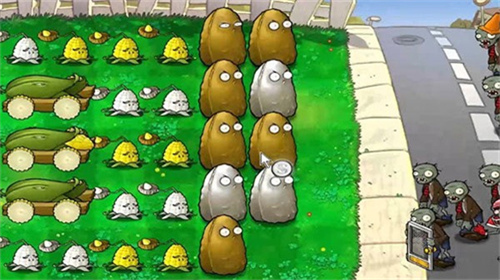 113