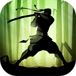 暗影格斗2  v2.22.0