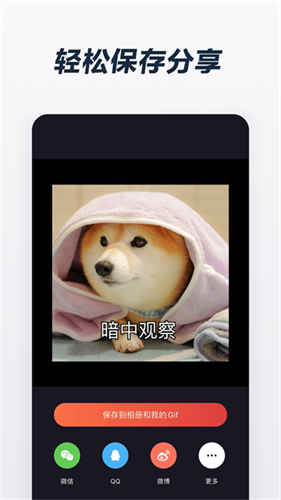 Gif制作器2