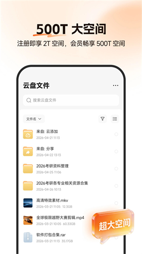 光鸭云盘2