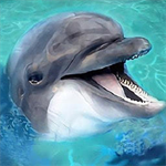 海洋动物模拟器无限经验版