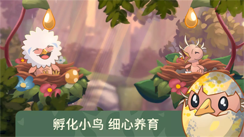 鸟类世界无限货币版1