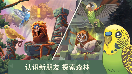 鸟类世界无限货币版3