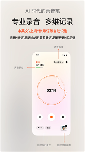 闪念贝壳2
