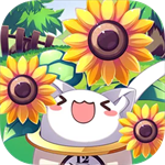 猫咪花盆