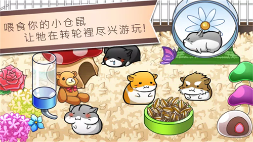 仓鼠的日常1