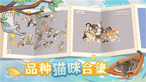 挤在一起的猫猫1