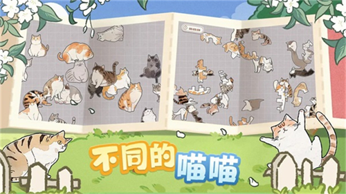 挤在一起的猫猫3