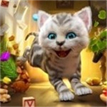 终极猫咪模拟器2无限经验版